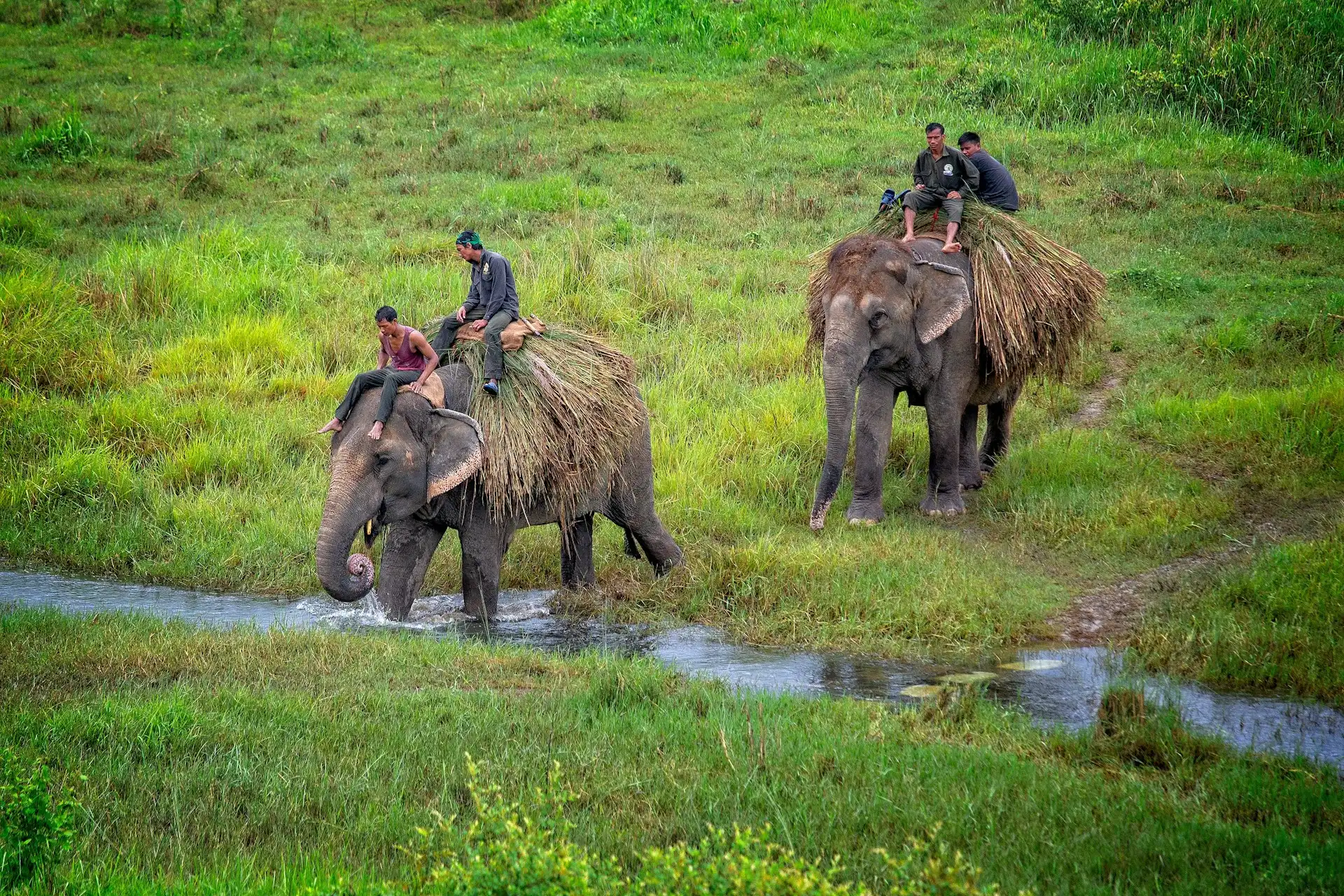 Chitwan Wildlife Adventure Tour